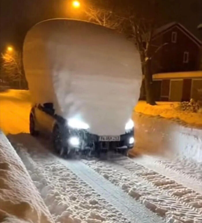 ‘Absolute Units’: 82 Times People Saw Something So Big, They Just Had To Share (New Pics) ‘Absolute Units’: 82 Times People Saw Something So Big, They Just Had To Share (New Pics)