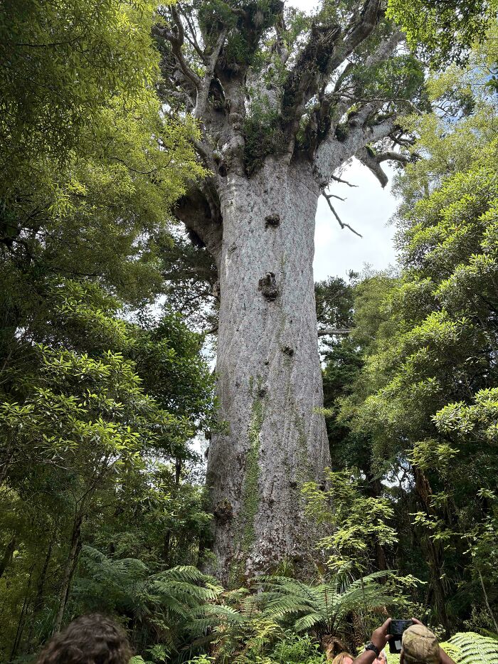 ‘Absolute Units’: 82 Times People Saw Something So Big, They Just Had To Share (New Pics) ‘Absolute Units’: 82 Times People Saw Something So Big, They Just Had To Share (New Pics)