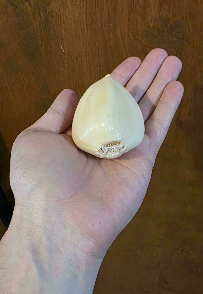 ‘Absolute Units’: 82 Times People Saw Something So Big, They Just Had To Share (New Pics) ‘Absolute Units’: 82 Times People Saw Something So Big, They Just Had To Share (New Pics)