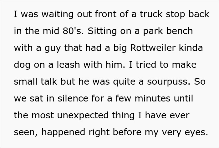 32 Outlandish Public Moments That Turned People-Watching Into Free Comedy