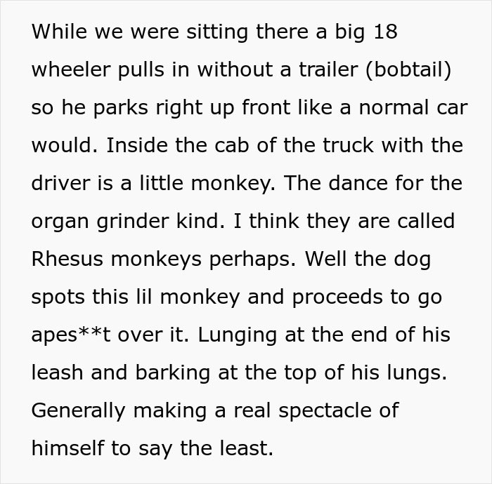 32 Outlandish Public Moments That Turned People-Watching Into Free Comedy