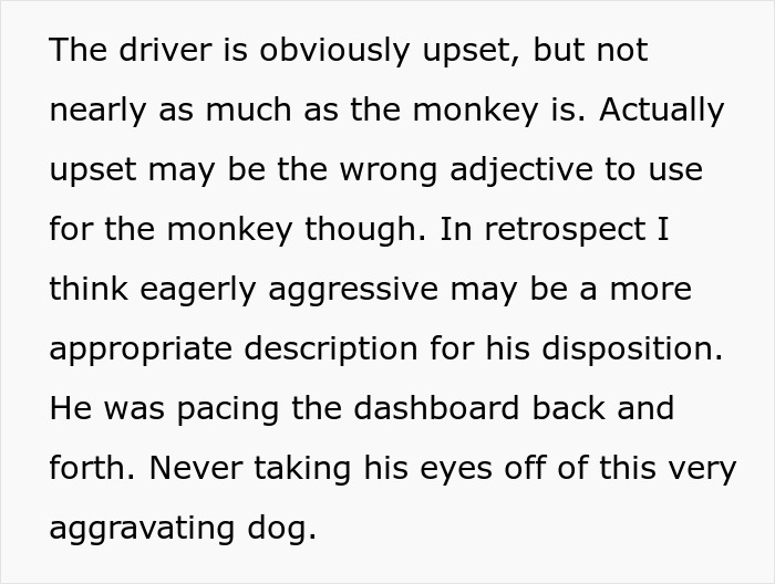 32 Outlandish Public Moments That Turned People-Watching Into Free Comedy