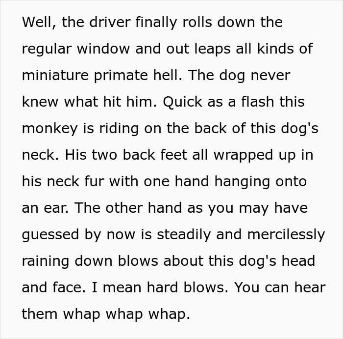 32 Outlandish Public Moments That Turned People-Watching Into Free Comedy