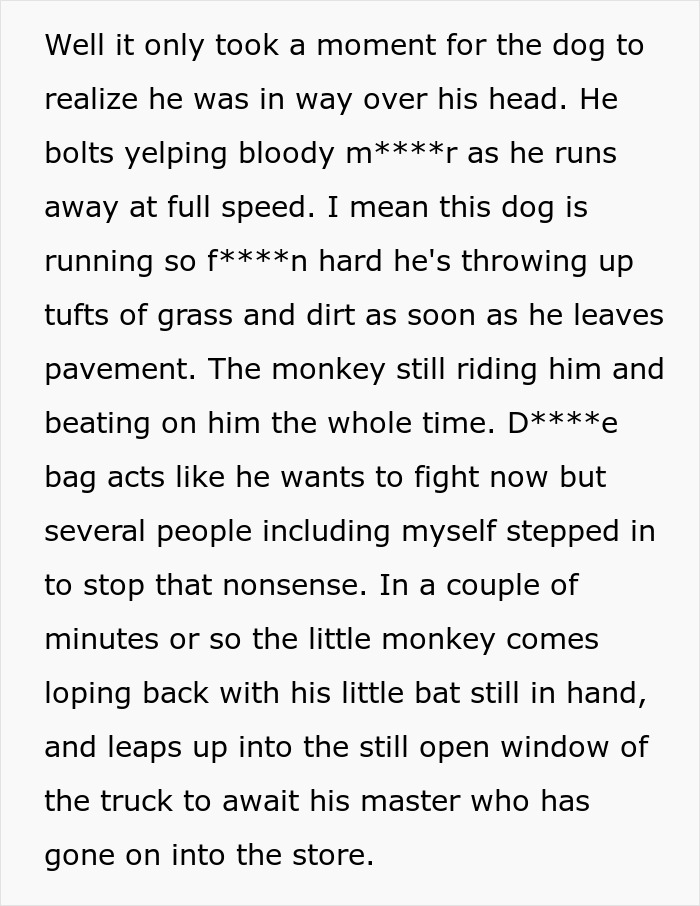 32 Outlandish Public Moments That Turned People-Watching Into Free Comedy