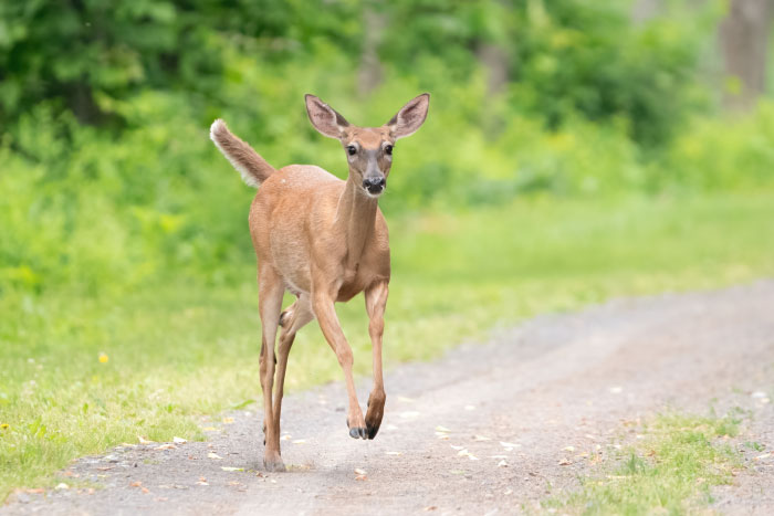 32 Outlandish Public Moments That Turned People-Watching Into Free Comedy