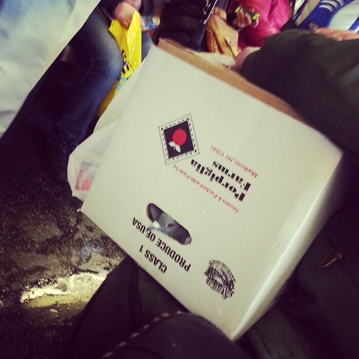 75 Unhinged Things Seen On The Subway That Prove It’s An Entirely Different World 75 Unhinged Things Seen On The Subway That Prove It’s An Entirely Different World