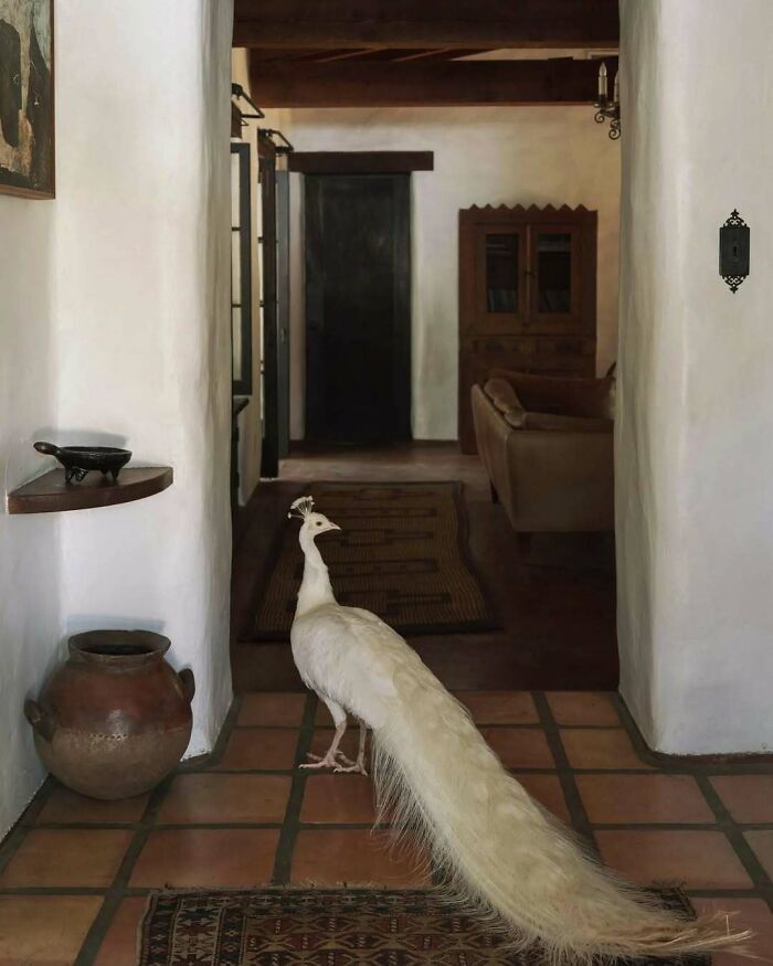 80 Bold And Beautiful Interiors That Are Anything But Boring