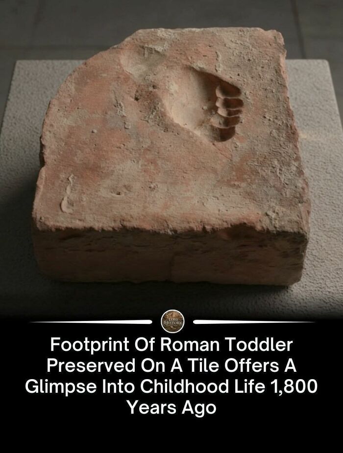 69 Facts That Might Reveal Rabbit Holes That You Haven&rsquo;t Visited Yet