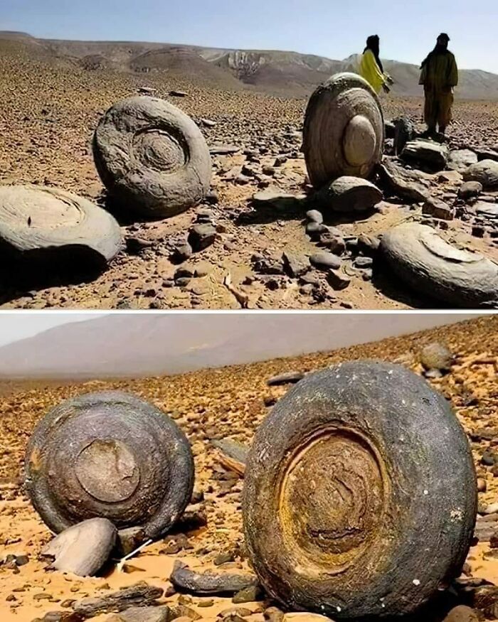 69 Facts That Might Reveal Rabbit Holes That You Haven&rsquo;t Visited Yet