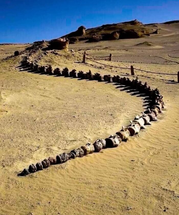 69 Facts That Might Reveal Rabbit Holes That You Haven&rsquo;t Visited Yet