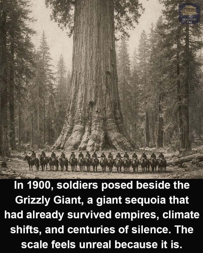 69 Facts That Might Reveal Rabbit Holes That You Haven&rsquo;t Visited Yet