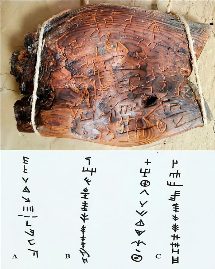 69 Facts That Might Reveal Rabbit Holes That You Haven&rsquo;t Visited Yet