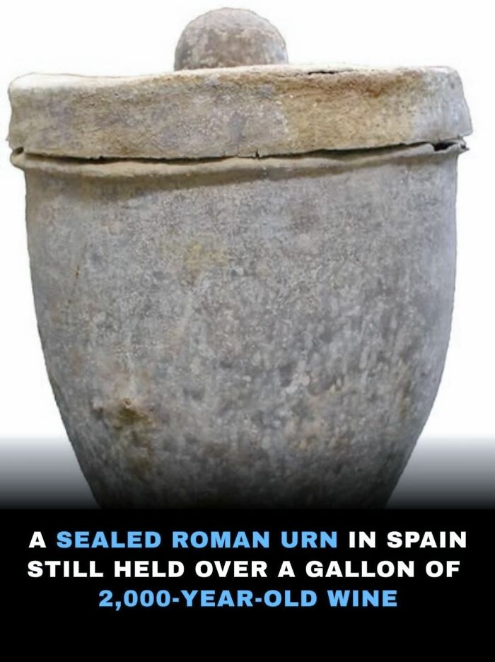 69 Facts That Might Reveal Rabbit Holes That You Haven&rsquo;t Visited Yet