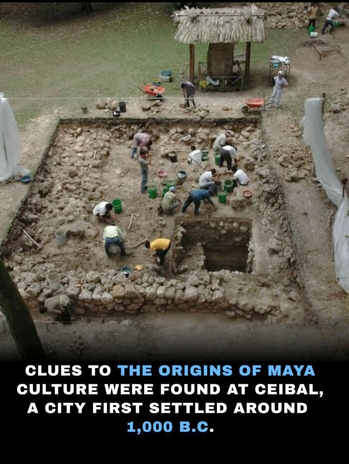 69 Facts That Might Reveal Rabbit Holes That You Haven&rsquo;t Visited Yet