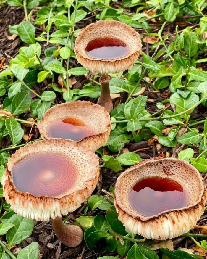 Brits Are Sharing Funny Pics From Their Daily Lives And These 58 Are Simply Exquisite (New Pics) Brits Are Sharing Funny Pics From Their Daily Lives And These 58 Are Simply Exquisite (New Pics)