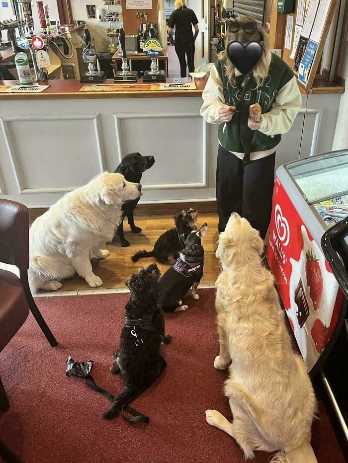 Brits Are Sharing Funny Pics From Their Daily Lives And These 58 Are Simply Exquisite (New Pics) Brits Are Sharing Funny Pics From Their Daily Lives And These 58 Are Simply Exquisite (New Pics)