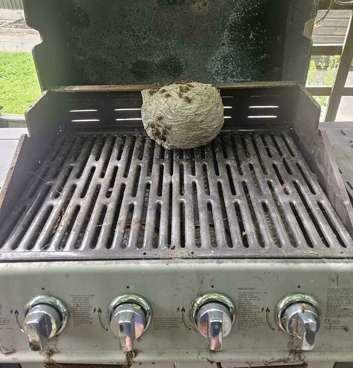 Brits Are Sharing Funny Pics From Their Daily Lives And These 58 Are Simply Exquisite (New Pics) Brits Are Sharing Funny Pics From Their Daily Lives And These 58 Are Simply Exquisite (New Pics)