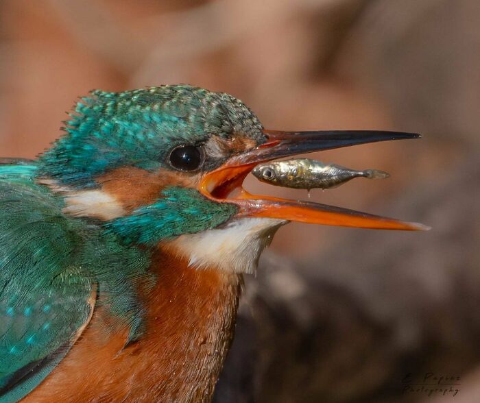 Brits Are Sharing Funny Pics From Their Daily Lives And These 58 Are Simply Exquisite (New Pics) Brits Are Sharing Funny Pics From Their Daily Lives And These 58 Are Simply Exquisite (New Pics)