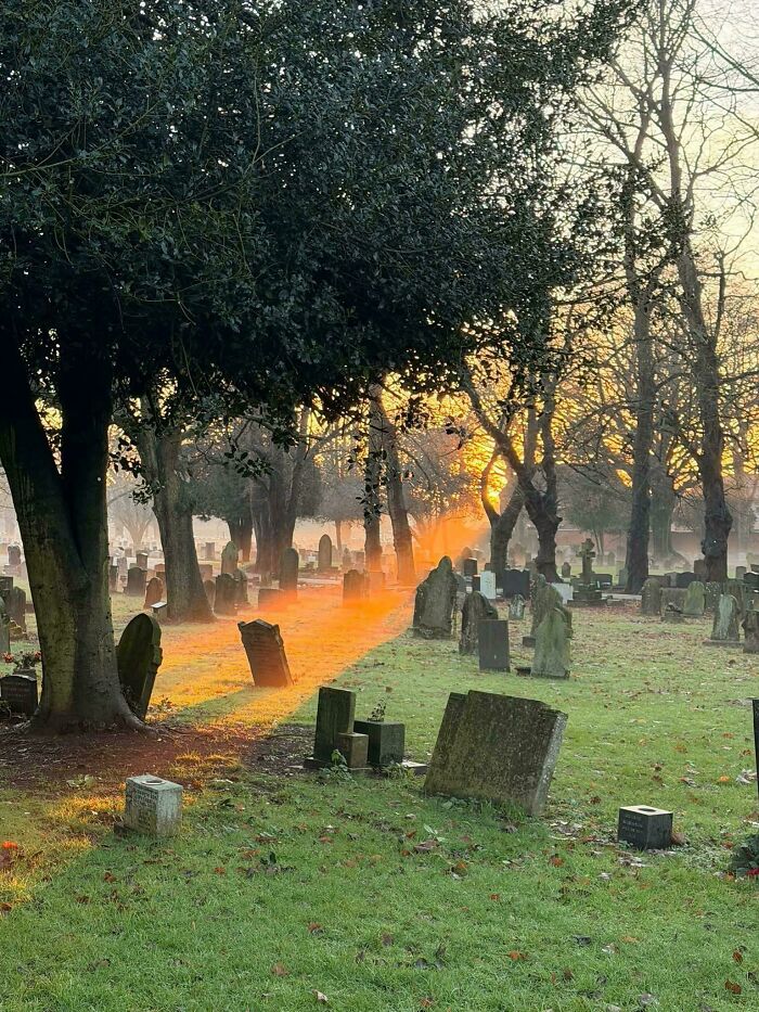 Brits Are Sharing Funny Pics From Their Daily Lives And These 58 Are Simply Exquisite (New Pics) Brits Are Sharing Funny Pics From Their Daily Lives And These 58 Are Simply Exquisite (New Pics)