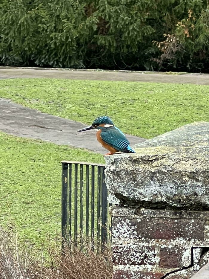 Brits Are Sharing Funny Pics From Their Daily Lives And These 58 Are Simply Exquisite (New Pics) Brits Are Sharing Funny Pics From Their Daily Lives And These 58 Are Simply Exquisite (New Pics)