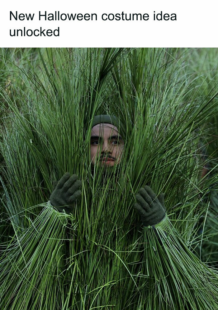 42 Of The Best Reactions And Memes To Super Bowl LX Halftime Show