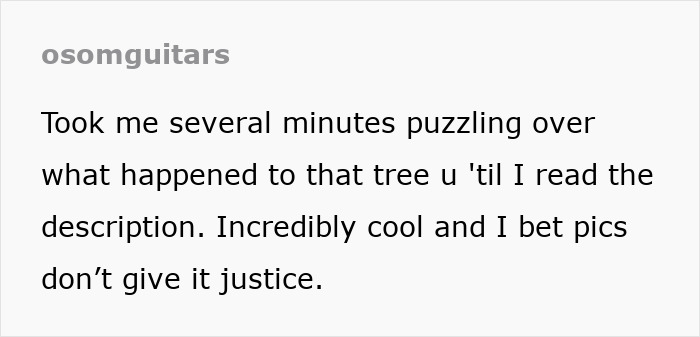 He Used A 3D Mold To Turn Stacks Of Newspapers Into A Guitar That Actually Rocks He Used A 3D Mold To Turn Stacks Of Newspapers Into A Guitar That Actually Rocks
