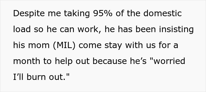 Lazy Hubby Invites Mom To Help Instead Of Pitching In, Wife Goes On Strike And Dumps Chores On Him