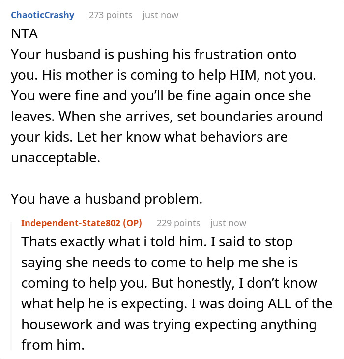 Lazy Hubby Invites Mom To Help Instead Of Pitching In, Wife Goes On Strike And Dumps Chores On Him