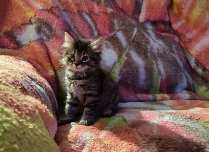 “Museum Of Artifacts”: 90 Fascinating Historical Artifacts That Surprise People To This Day (New Pics)