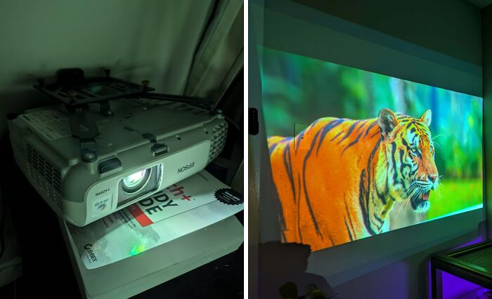 “Museum Of Artifacts”: 90 Fascinating Historical Artifacts That Surprise People To This Day (New Pics)