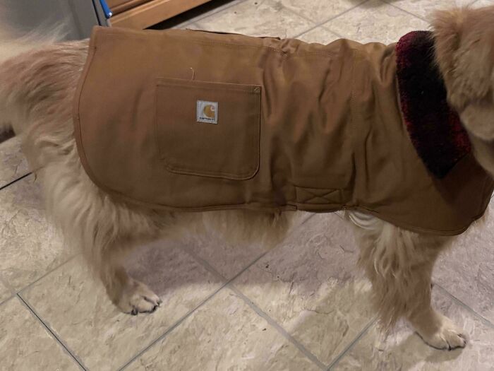 “Museum Of Artifacts”: 90 Fascinating Historical Artifacts That Surprise People To This Day (New Pics)