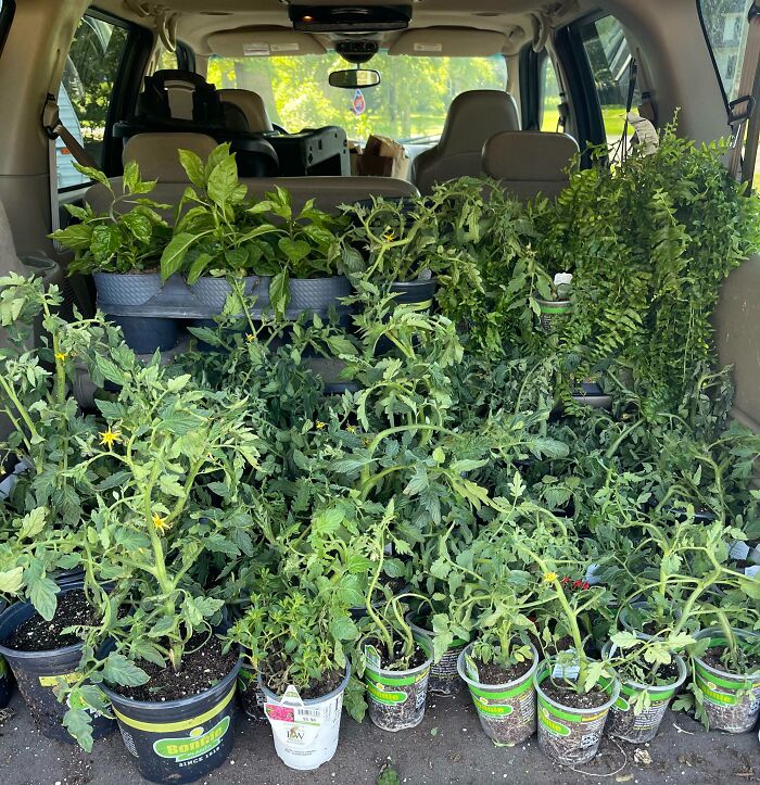 “Museum Of Artifacts”: 90 Fascinating Historical Artifacts That Surprise People To This Day (New Pics)