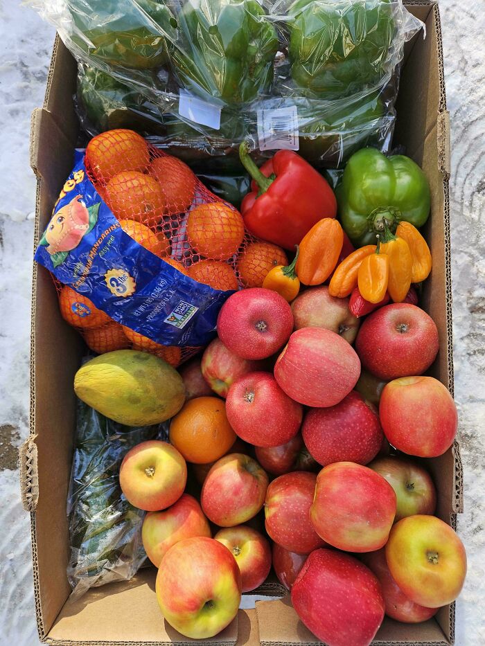 “Museum Of Artifacts”: 90 Fascinating Historical Artifacts That Surprise People To This Day (New Pics)