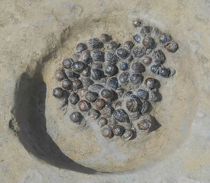 “Museum Of Artifacts”: 90 Fascinating Historical Artifacts That Surprise People To This Day (New Pics) “Museum Of Artifacts”: 90 Fascinating Historical Artifacts That Surprise People To This Day (New Pics)