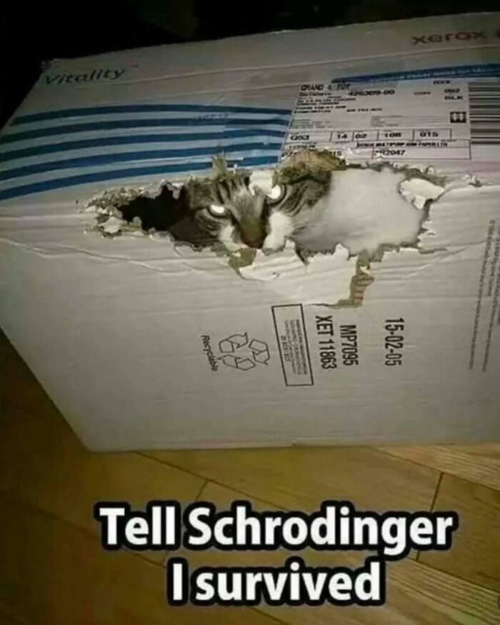 “Memes For Mathematicians”: 80 Memes Nerds Will Probably Love