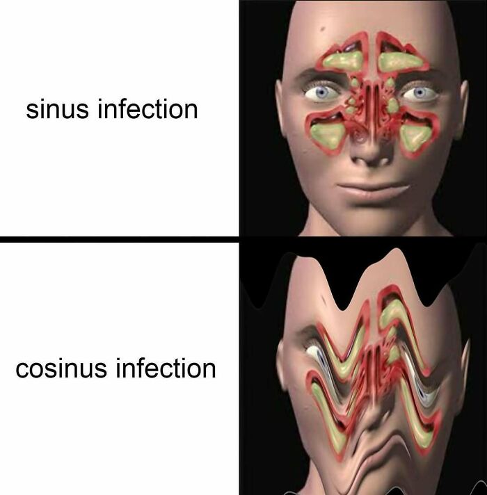 “Memes For Mathematicians”: 80 Memes Nerds Will Probably Love