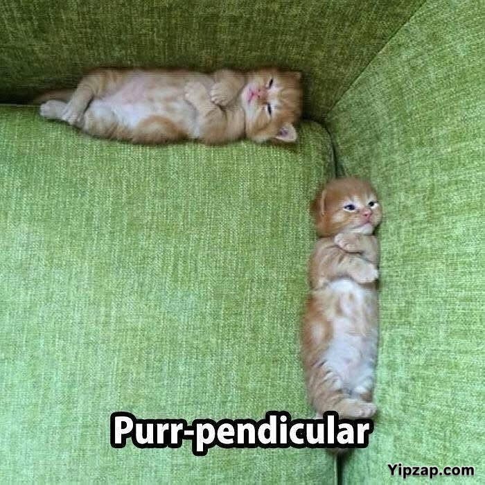 “Memes For Mathematicians”: 80 Memes Nerds Will Probably Love