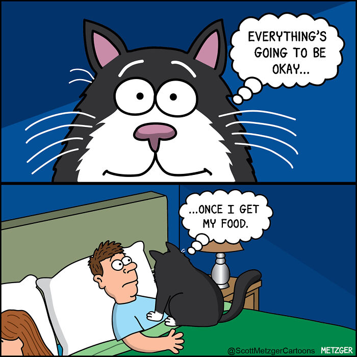 These Comics Perfectly Sum Up What It’s Like Sharing A Home With Cats And Dogs (96 New Comics)