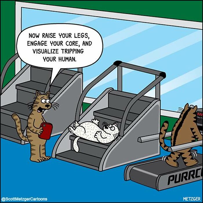 These Comics Perfectly Sum Up What It’s Like Sharing A Home With Cats And Dogs (96 New Comics)