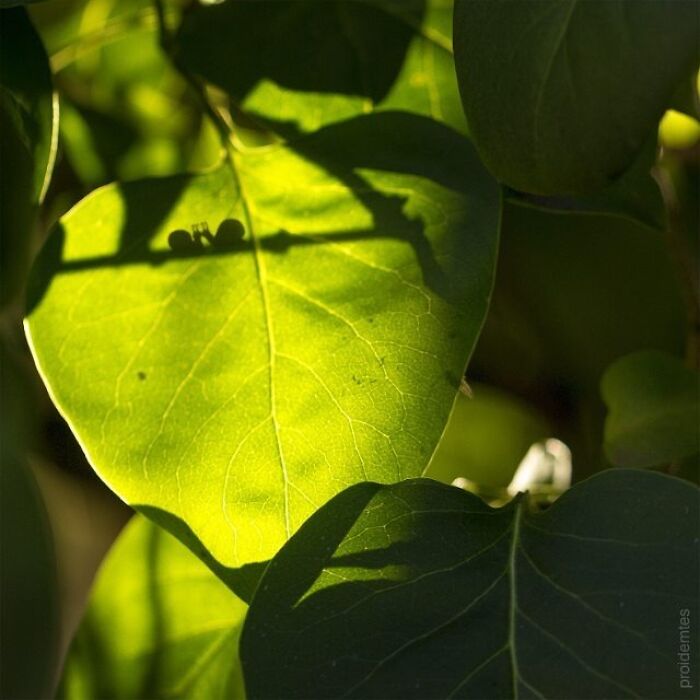 This Artist&rsquo;s Photo Doodles Make The World Look Like It&rsquo;s Secretly Alive (77 Pics)