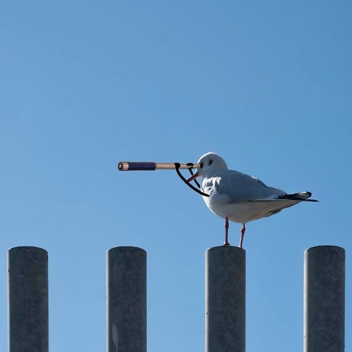 This Artist&rsquo;s Photo Doodles Make The World Look Like It&rsquo;s Secretly Alive (77 Pics)