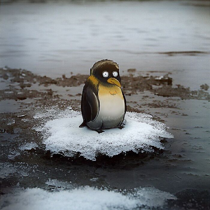 This Artist&rsquo;s Photo Doodles Make The World Look Like It&rsquo;s Secretly Alive (77 Pics)