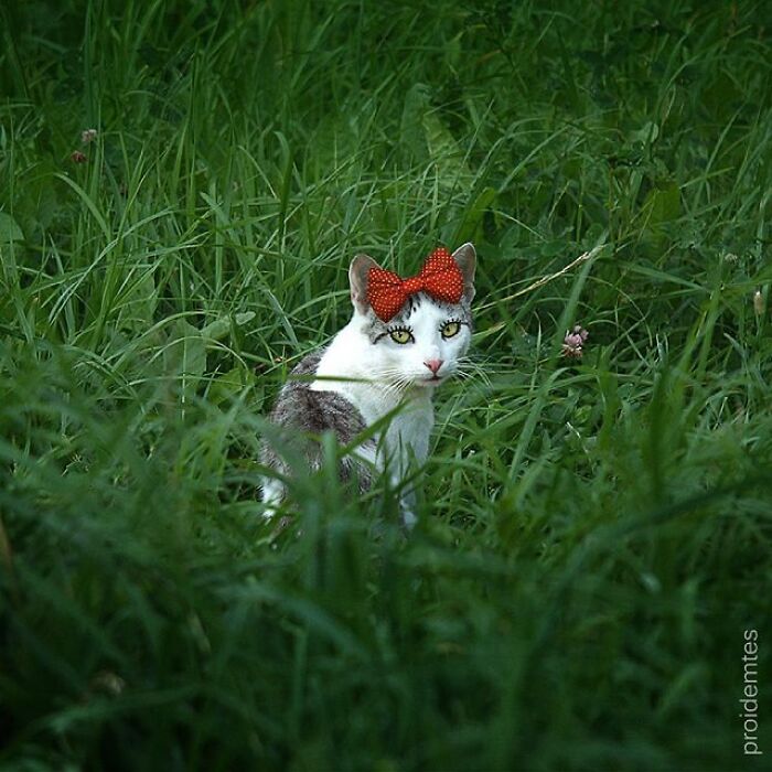 This Artist&rsquo;s Photo Doodles Make The World Look Like It&rsquo;s Secretly Alive (77 Pics)