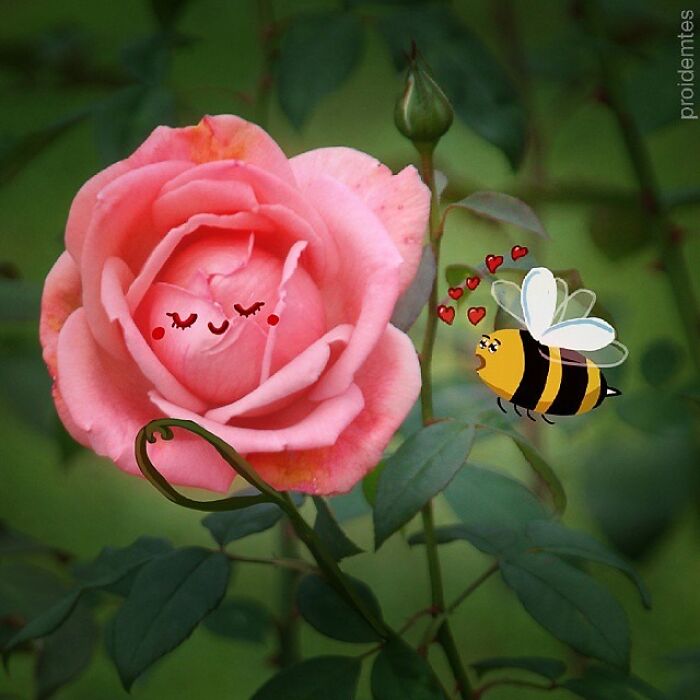 This Artist&rsquo;s Photo Doodles Make The World Look Like It&rsquo;s Secretly Alive (77 Pics)