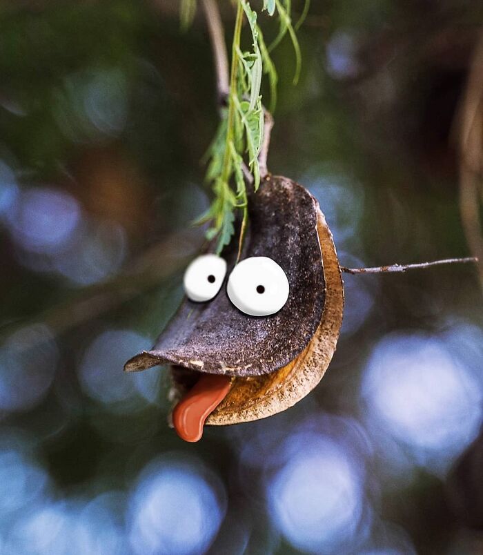 This Artist&rsquo;s Photo Doodles Make The World Look Like It&rsquo;s Secretly Alive (77 Pics)