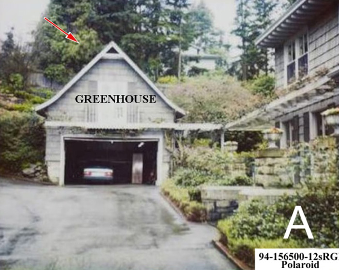 Chilling Clues In Kurt Cobain Case That Indicate It Was ‘Homicide’ Revealed By Forensic Experts