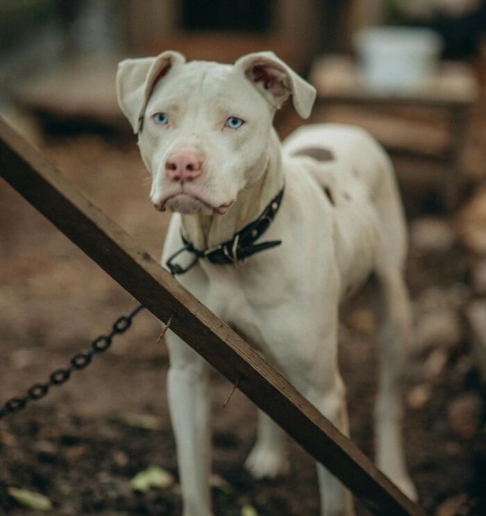 43 Things That Make Guests Instantly Judge A House The Moment They Step Inside