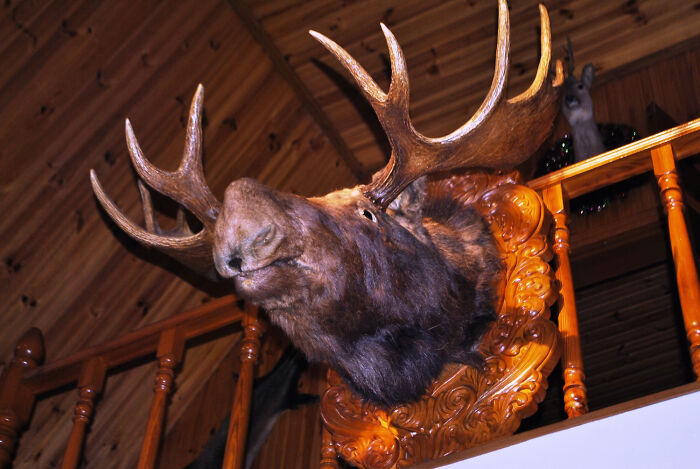 43 Things That Make Guests Instantly Judge A House The Moment They Step Inside