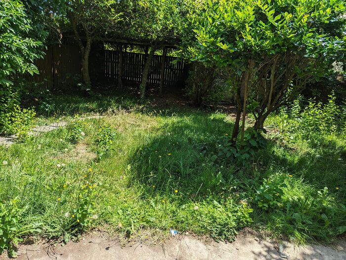 43 Things That Make Guests Instantly Judge A House The Moment They Step Inside