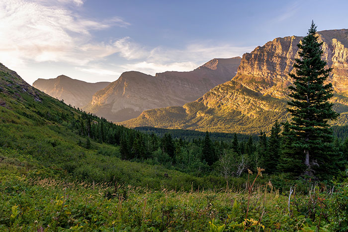 35 Things You Can Only Find In America